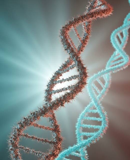 Atelier enfants ThetaHealing